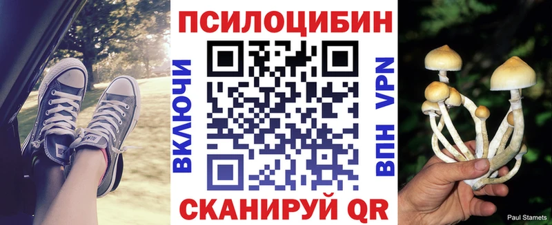 Псилоцибиновые грибы мицелий  Купить закладки  Чухлома 